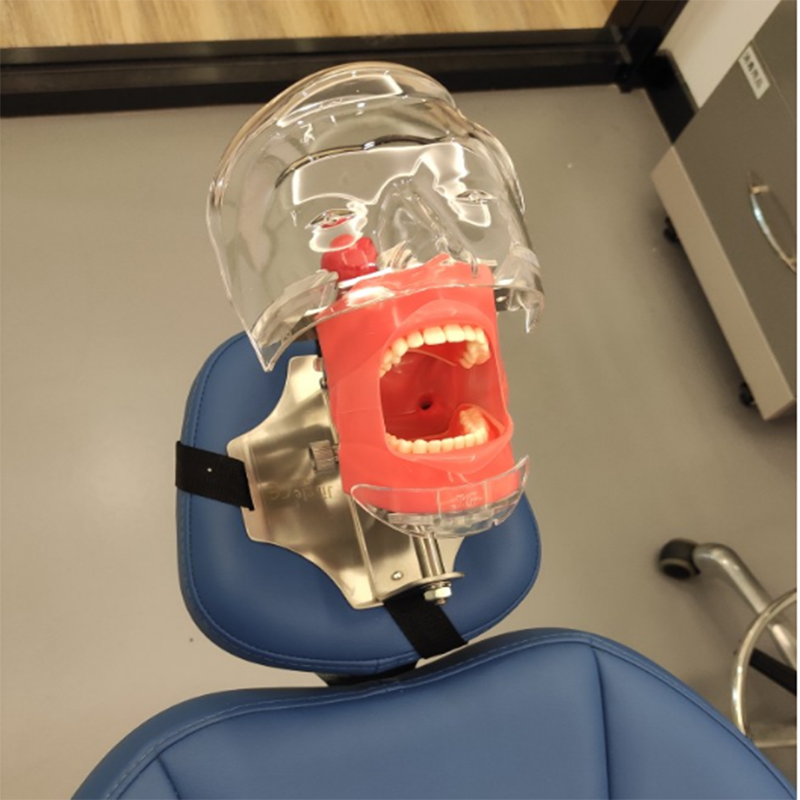 Professional Dental Manual Manikin Simulator Phantom Head Model for Dental Chair Headrest, Compatible with Nissin Kilgore image 2