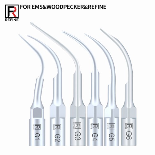 10-Piece Dental Scaler Tips G1 G2 G3 G4 G5 G6 GD1 GD2 GD3 GD4 GD5 GD6, Compatible with EMS Woodpecker image 1