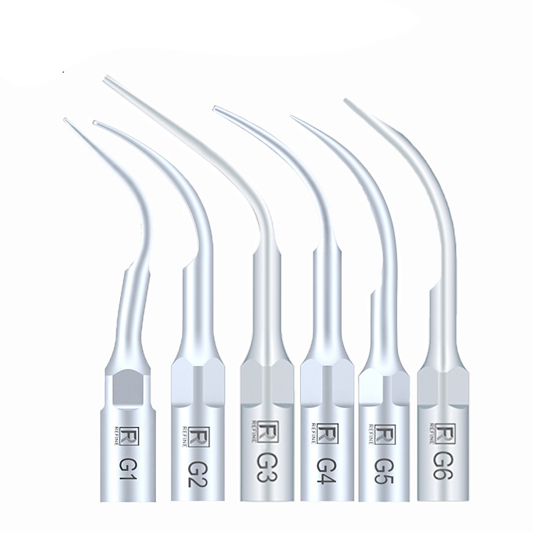 10-Piece Dental Scaler Tips G1 G2 G3 G4 G5 G6 GD1 GD2 GD3 GD4 GD5 GD6, Compatible with EMS Woodpecker image 3