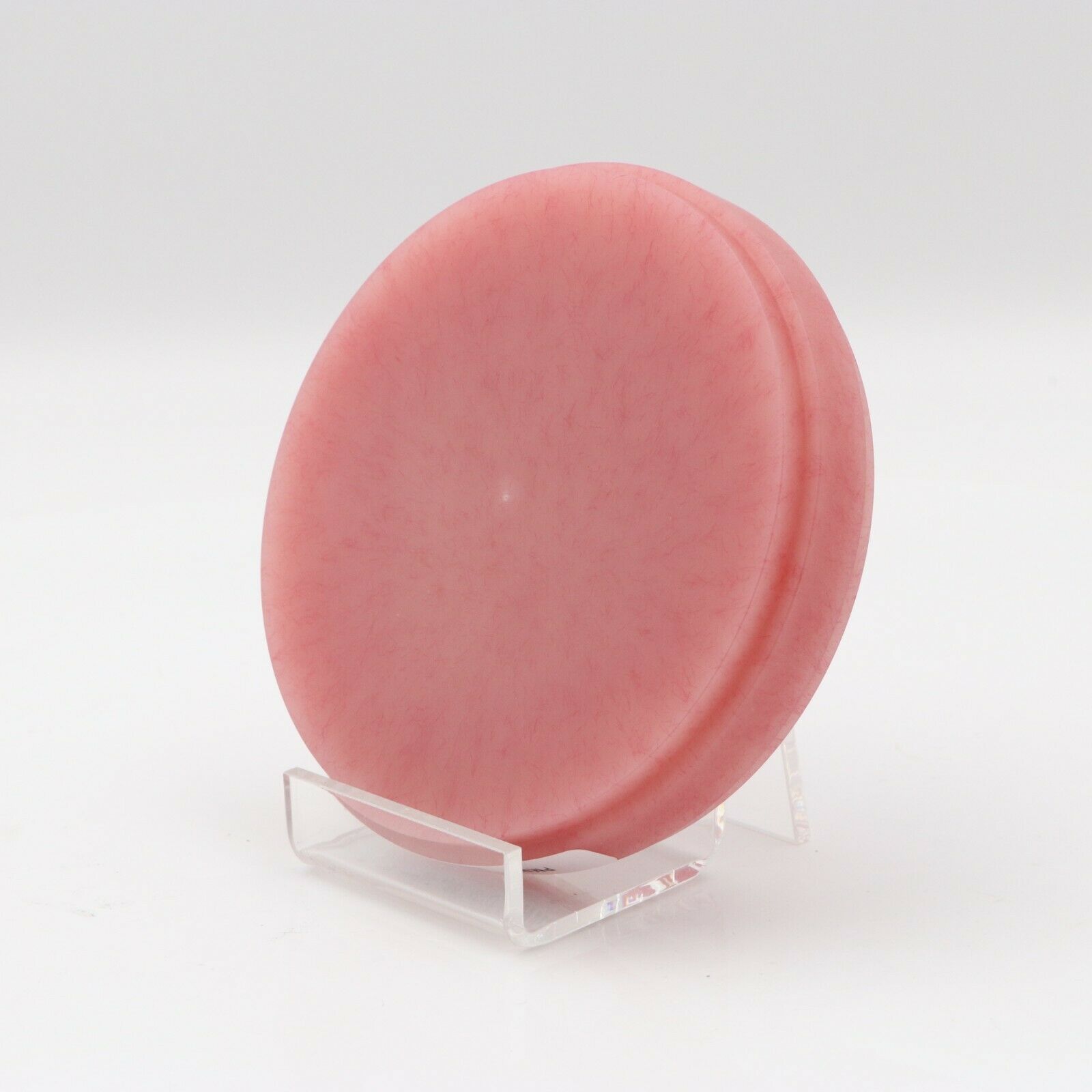 5-Piece Dental Lab Material Wieland System Pink PMMA Blocks Disk with Bloodshot image 2