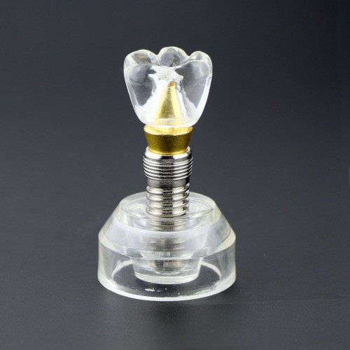 Professional Dental Implant Demonstration Model 2.5X Size Detachable Transparent 2020 image 1