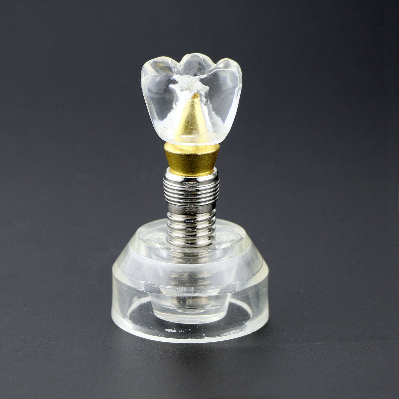 Professional Dental Implant Demonstration Model 2.5X Size Detachable Transparent 2020 image 2