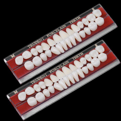2-Piece Dental Porcelain Denture Material Alloy-Pin Teeth Colors Shade Guide 24# image 1