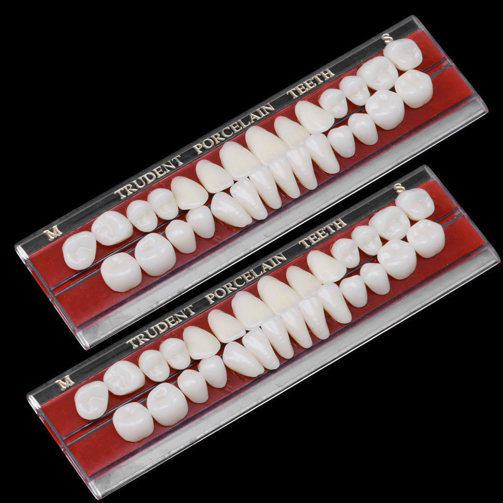2-Piece Dental Porcelain Denture Material Alloy-Pin Teeth Colors Shade Guide 24# image 2