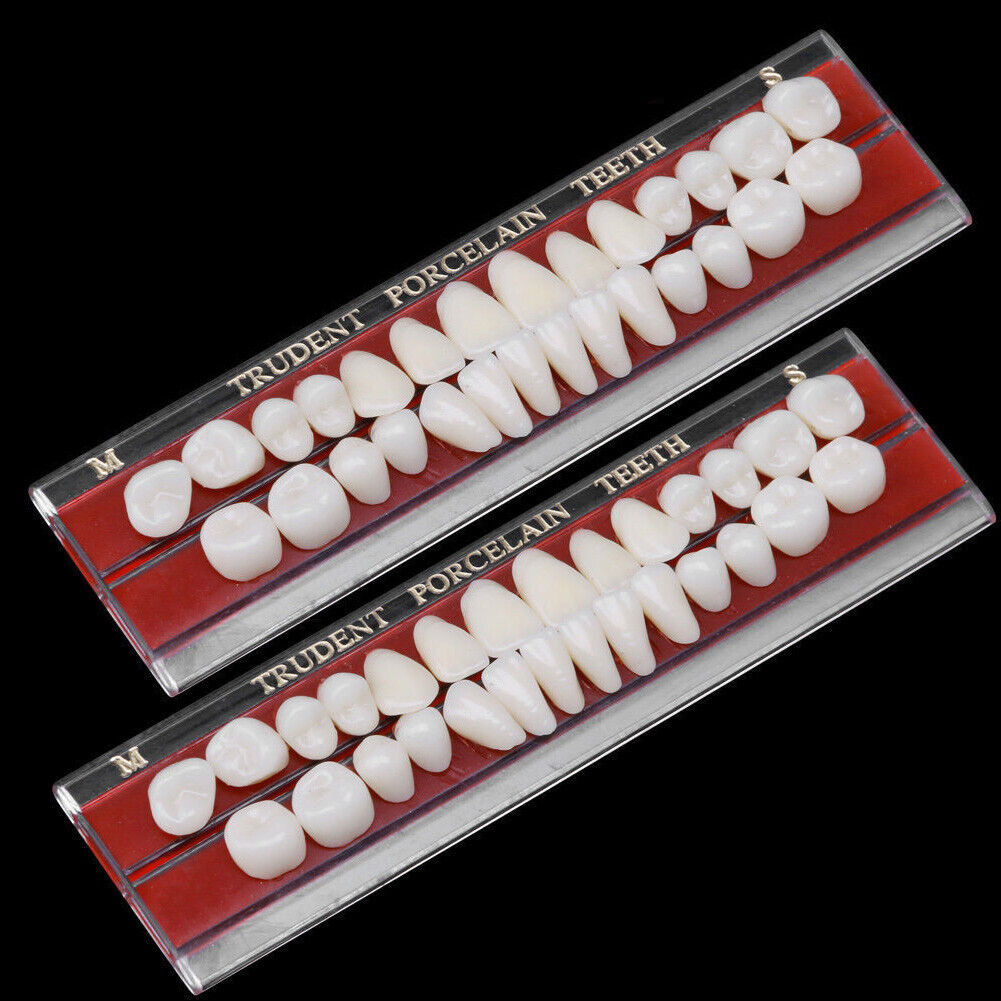 2-Piece Dental Porcelain Denture Material Alloy-Pin Teeth Colors Shade Guide 24# image 3