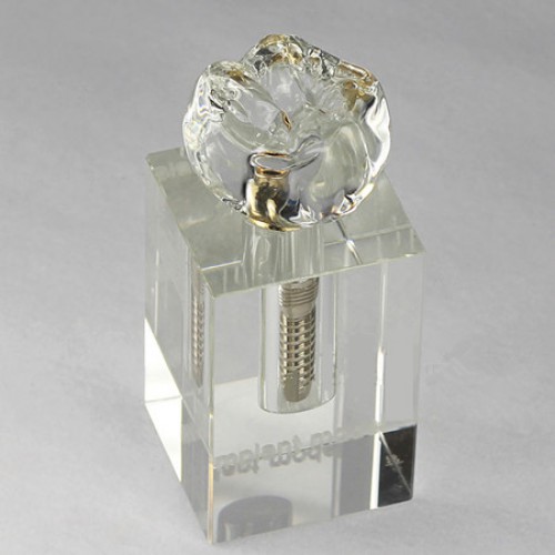 Professional Dental Implant Crystal Model M2019-I