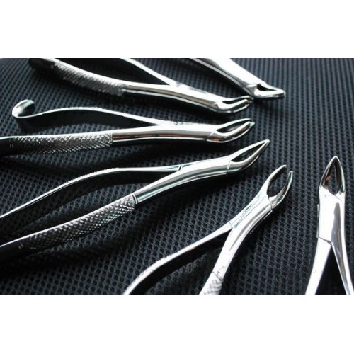 Professional Dental Forceps Set of 6