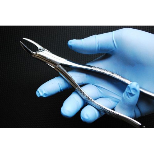 Latin Forceps No. 69 for the Upper and Lower Roots for Professional Use