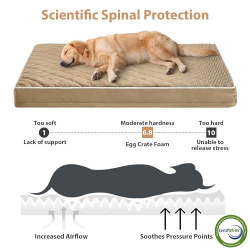 WNPETHOME Orthopedic Waterproof XL Dog Bed for Crate Cozy Sleep