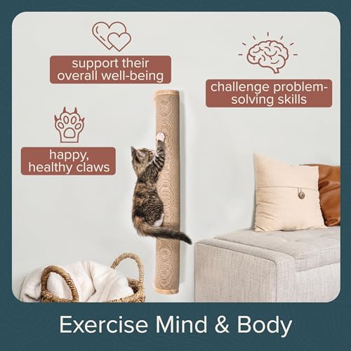 Floating Cat Shelf & Perch – Wall-Mounted Climbing Furniture for Cats - Moonbeam Path | Ascentials by FurHaven