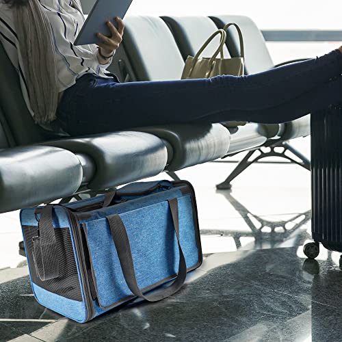 GAPZER Pet Carrier for Large and Medium Cat, Soft-Sided Pet Crate for Puppy