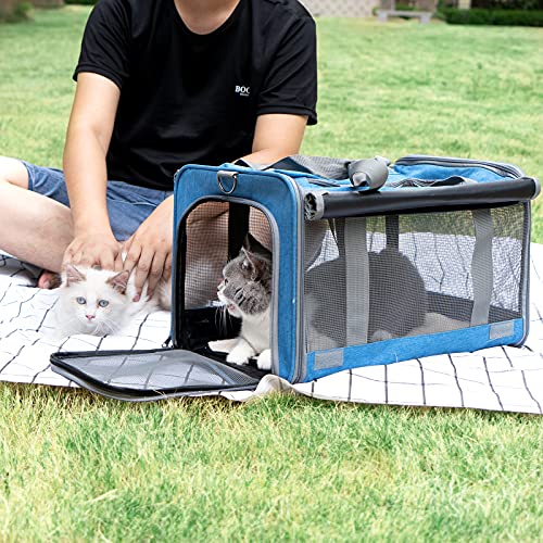 GAPZER Pet Carrier for Large and Medium Cat, Soft-Sided Pet Crate for Puppy