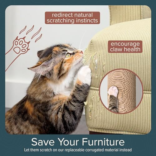 Floating Cat Shelf & Perch – Wall-Mounted Climbing Furniture for Cats - Moonbeam Path | Ascentials by FurHaven