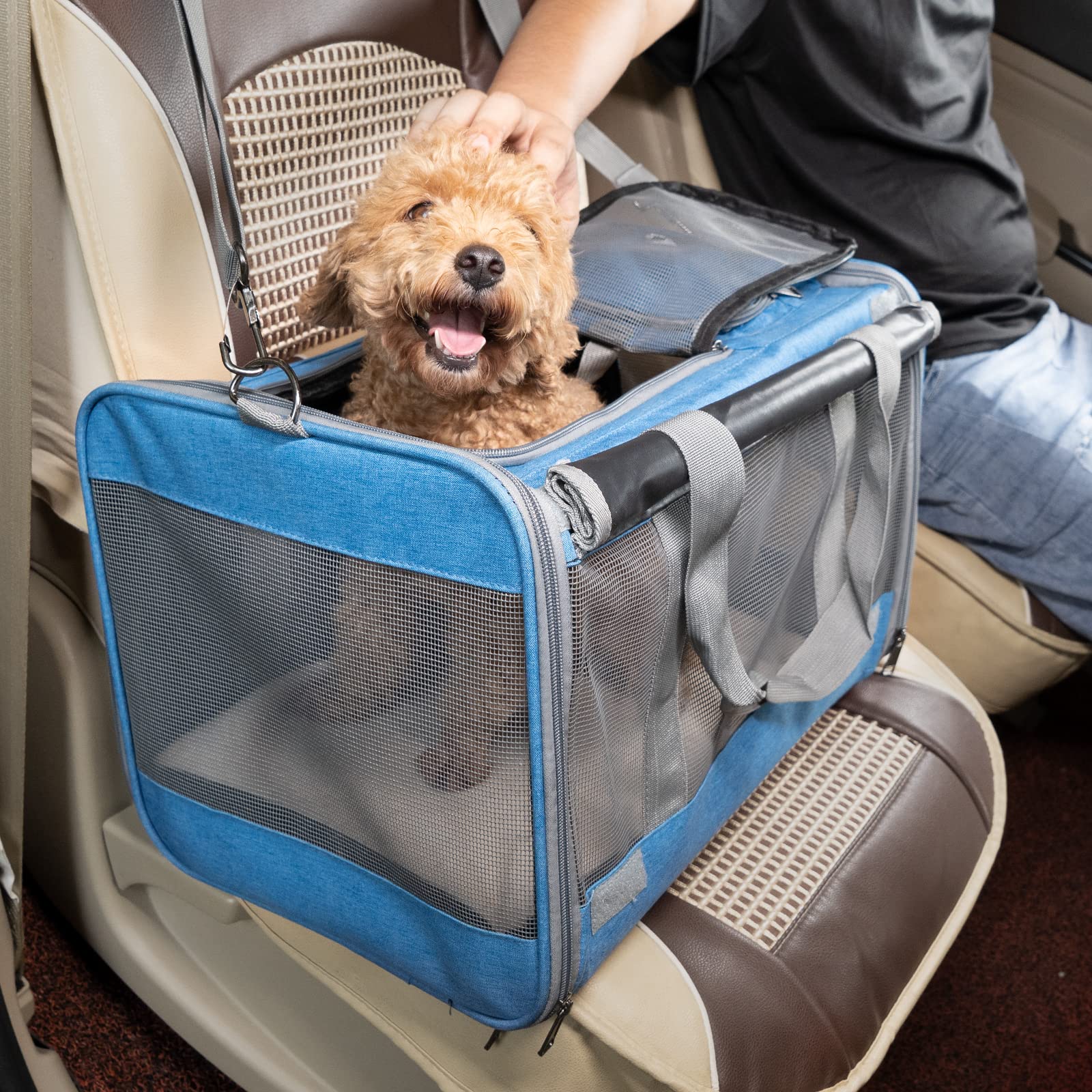GAPZER Pet Carrier for Large and Medium Cat, Soft-Sided Pet Crate for Puppy