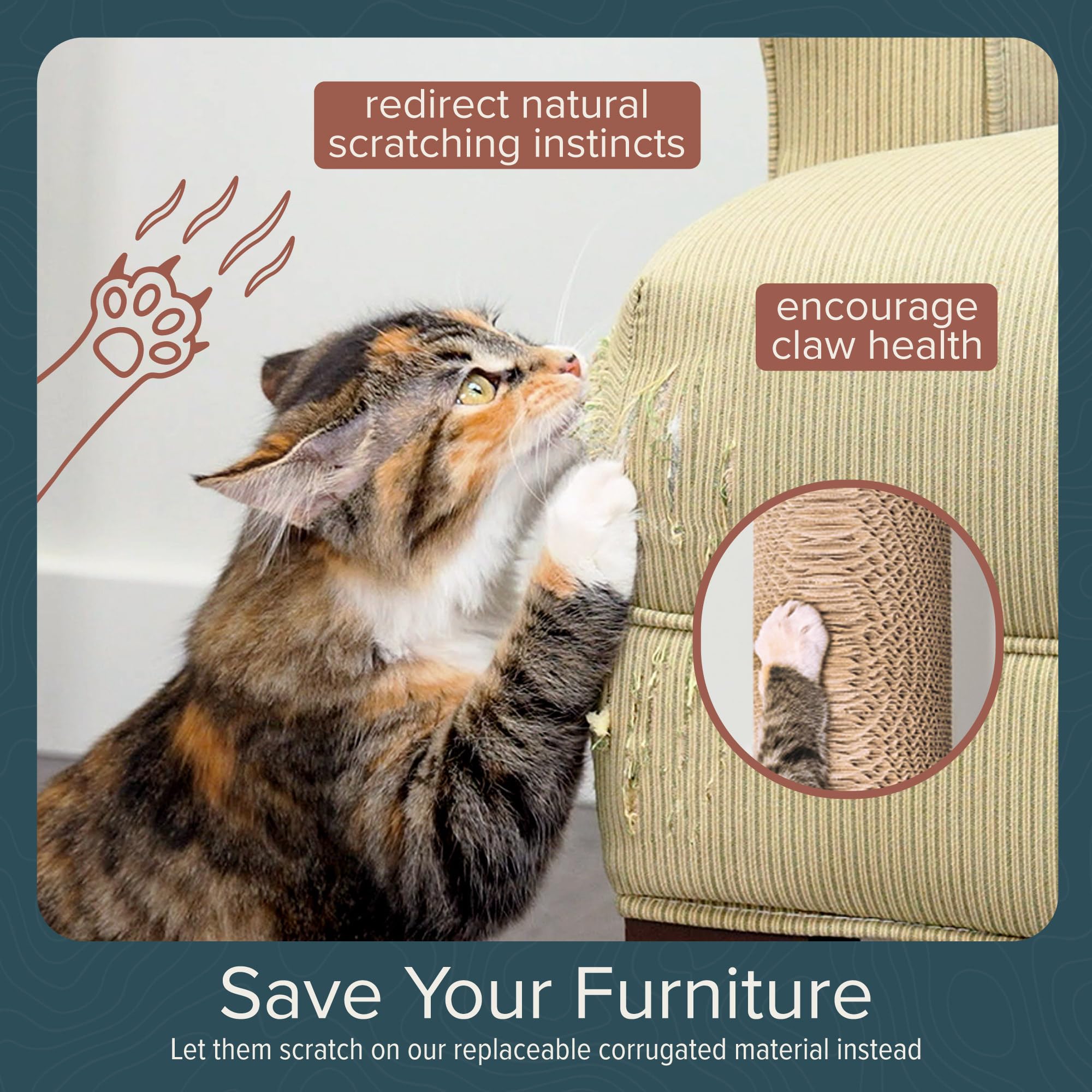 Floating Cat Shelf & Perch – Wall-Mounted Climbing Furniture for Cats - Moonbeam Path | Ascentials by FurHaven