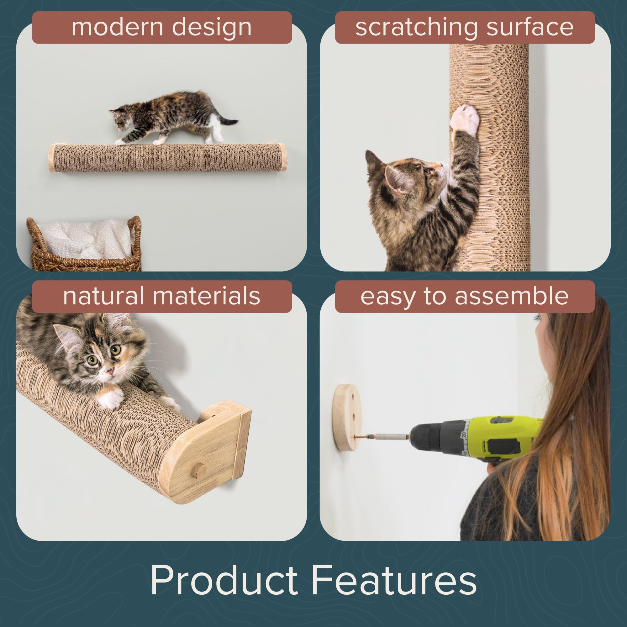 Floating Cat Shelf & Perch – Wall-Mounted Climbing Furniture for Cats - Moonbeam Path | Ascentials by FurHaven