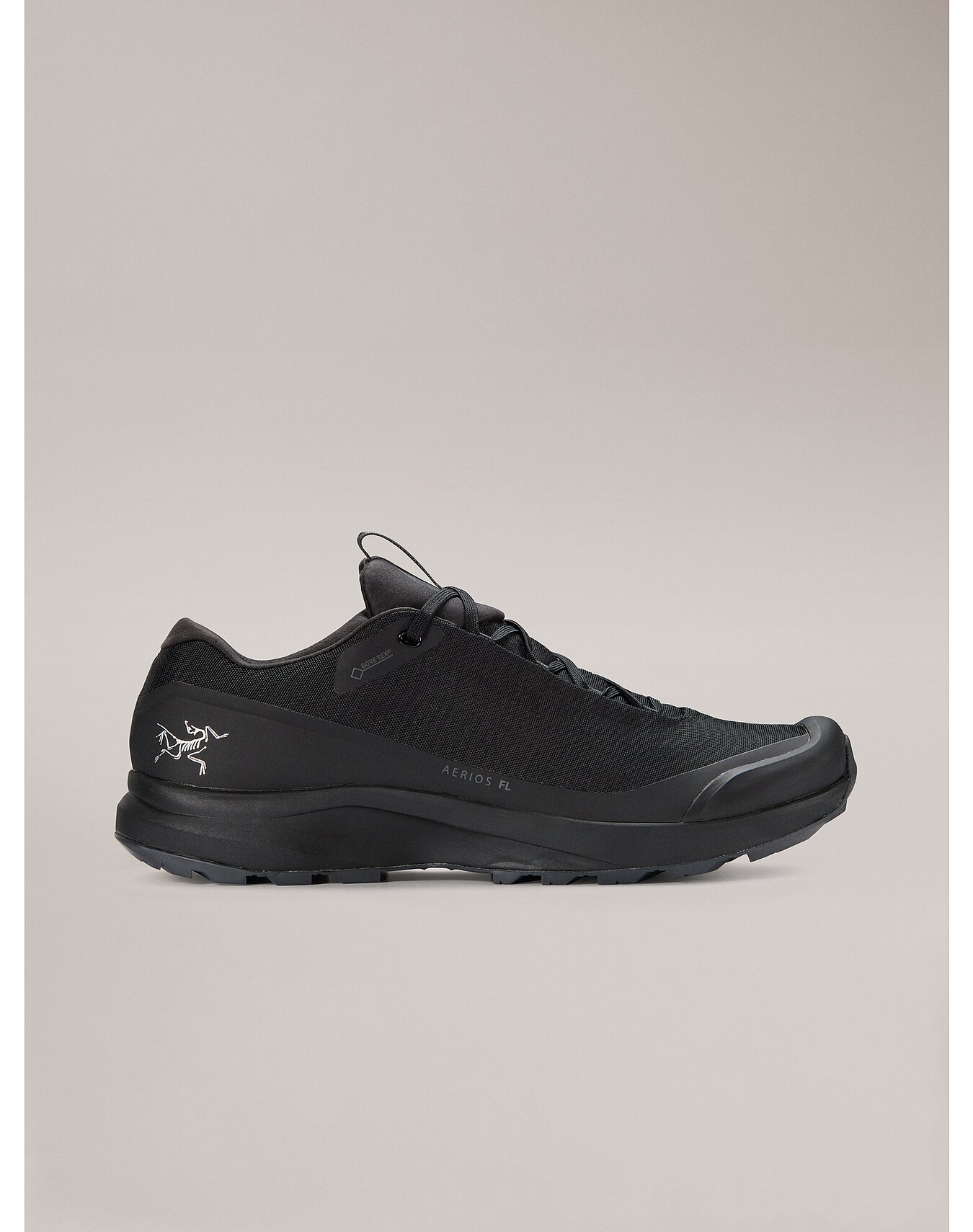 에어리어스 FL GTX 남성 - BLACK/PILOT - 1