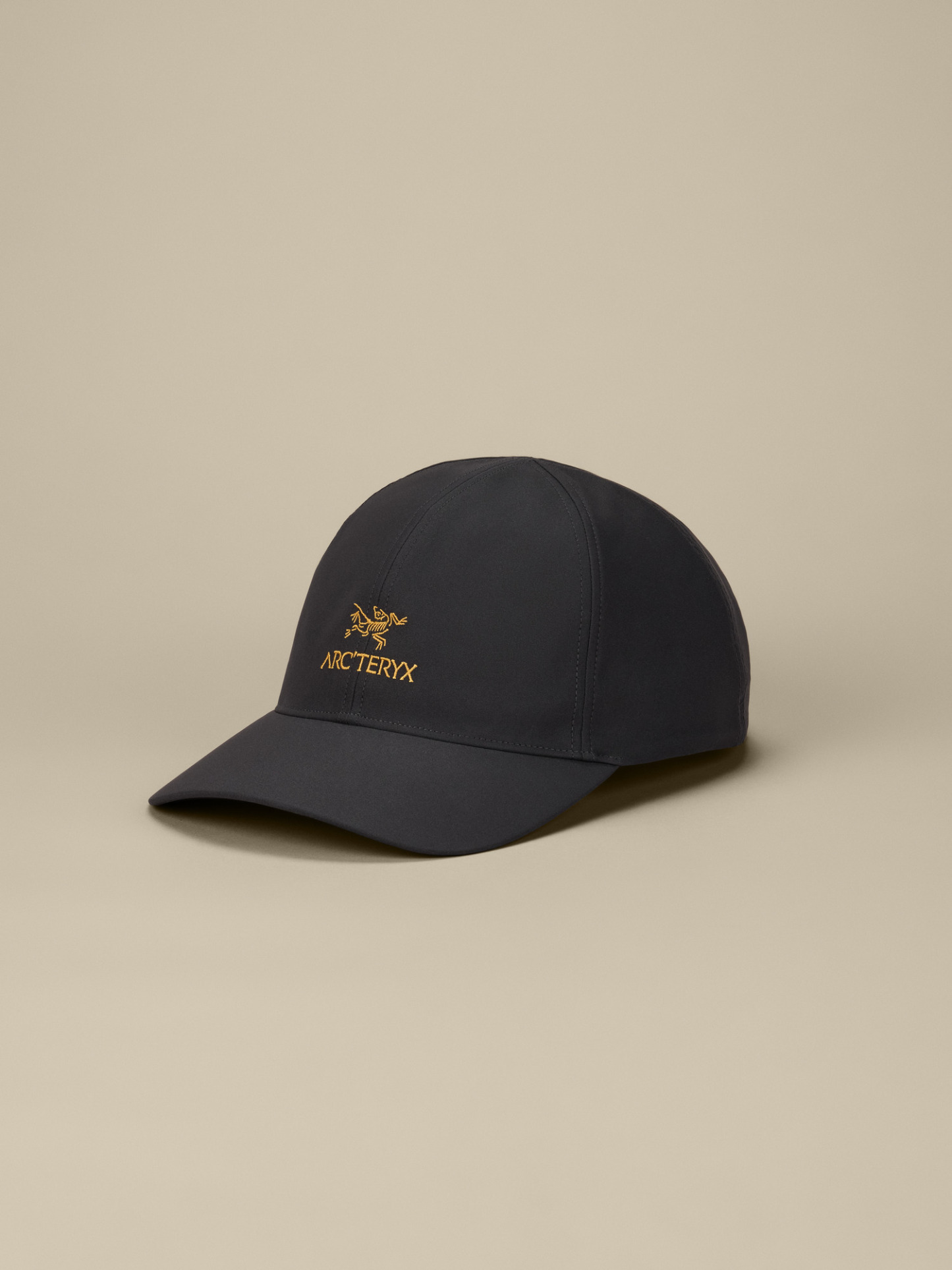버드 워드 캡 - 24K BLACK - 2