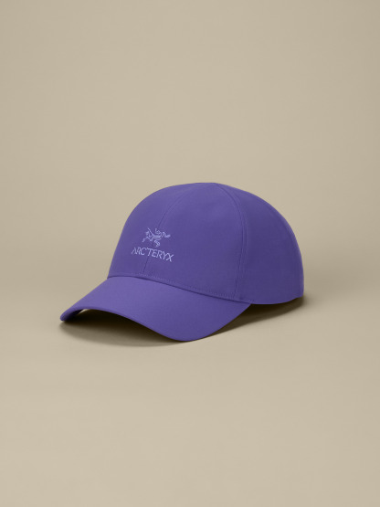 버드 워드 캡 - BLURPLE - 2