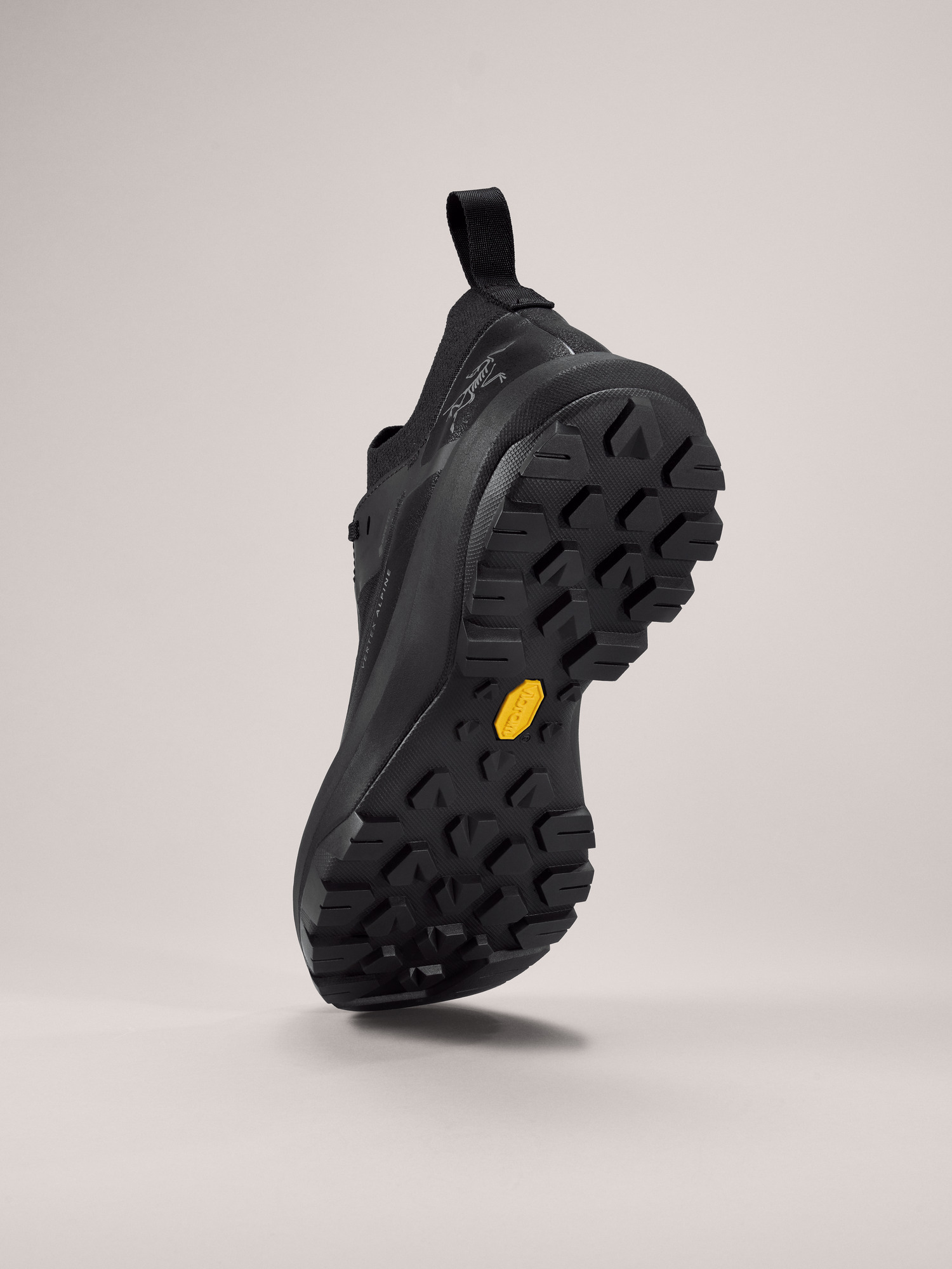 버텍스 알파인 GTX 남성 - BLACK / BLACK - 4