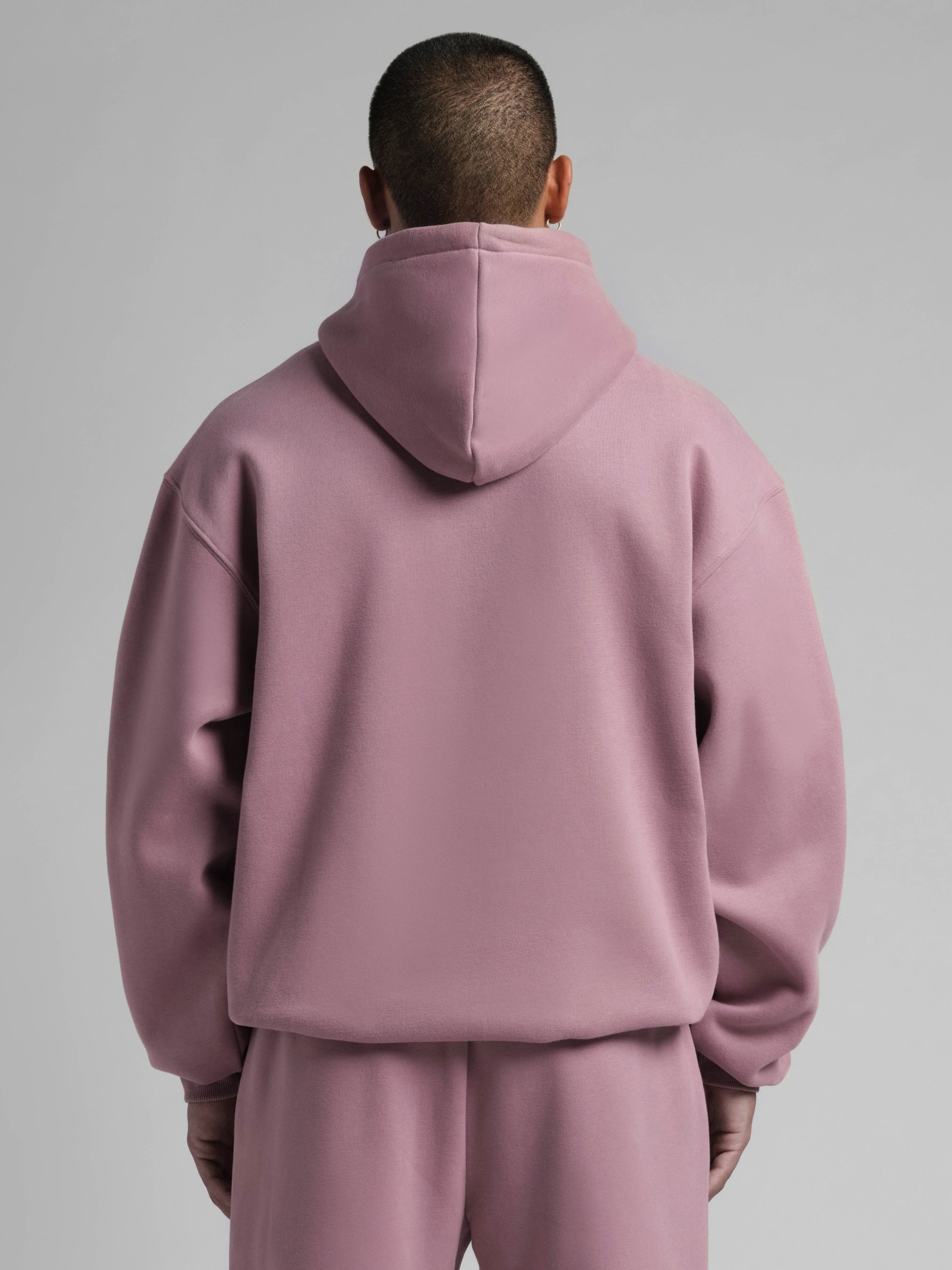 Orchid / Jared
