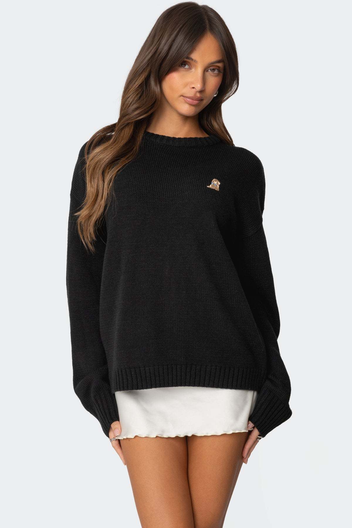 Puppy Love Embroidered Sweater - BLACK