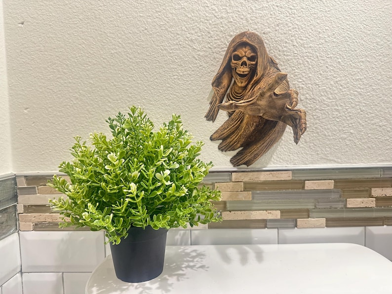 May include: A decorative wall hanging of a skull in a hooded robe, with outstretched arms, in a brown finish. A small potted plant with green foliage sits in front of the wall hanging. The plant is in a black pot.