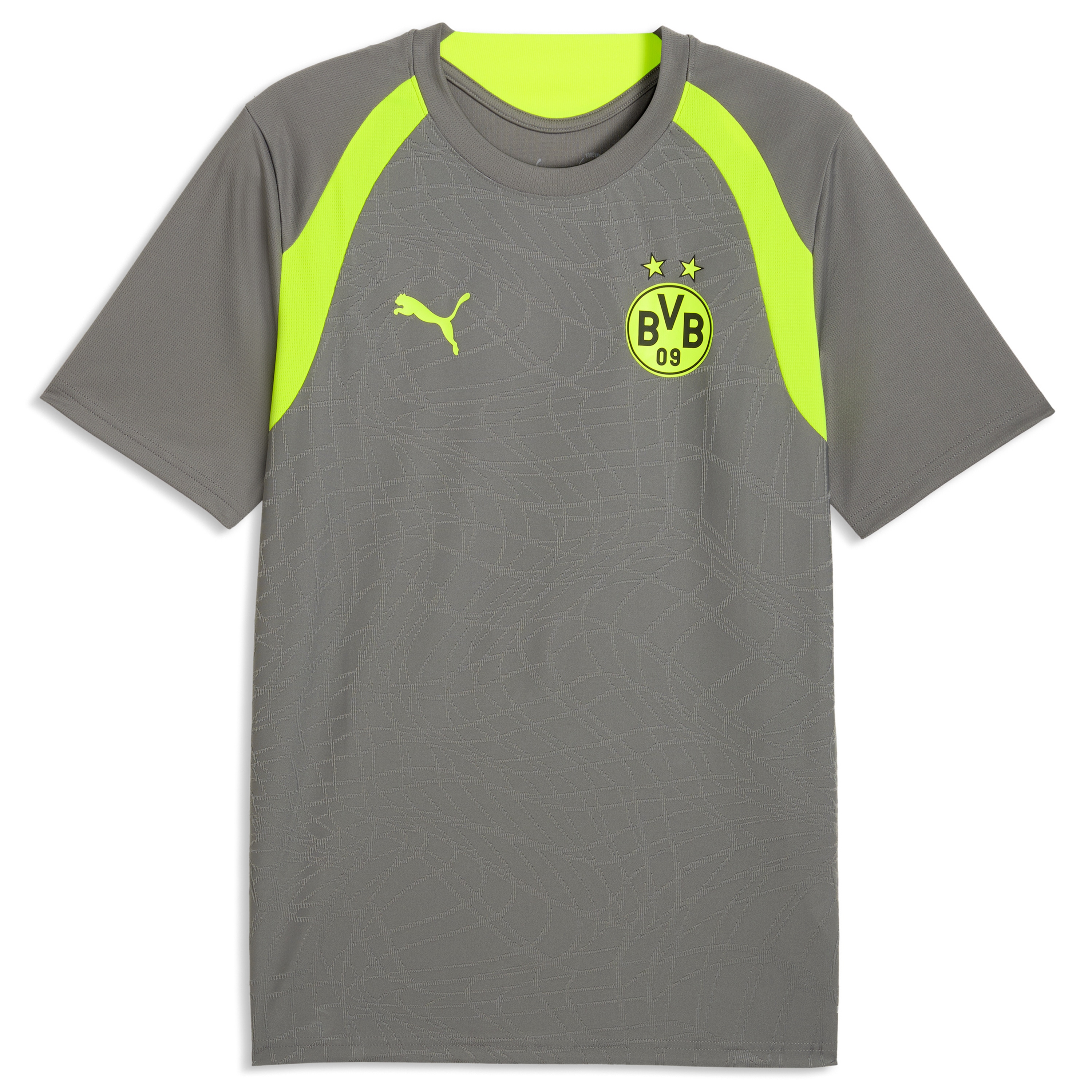 Borussia Dortmund 2026/27 Training Jersey Gray