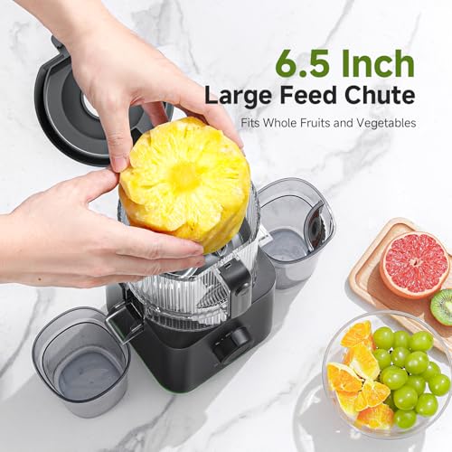 3-IN-1 Cold Press Juicer for Juice, Nut Milk & Sorbet - Self Feeding Juicer Machines with Pre-Cut Blade, 6.5"&100oz Extra Large Chute Fits Whole Fruits & Vegetables, High Yield, Easy Clean