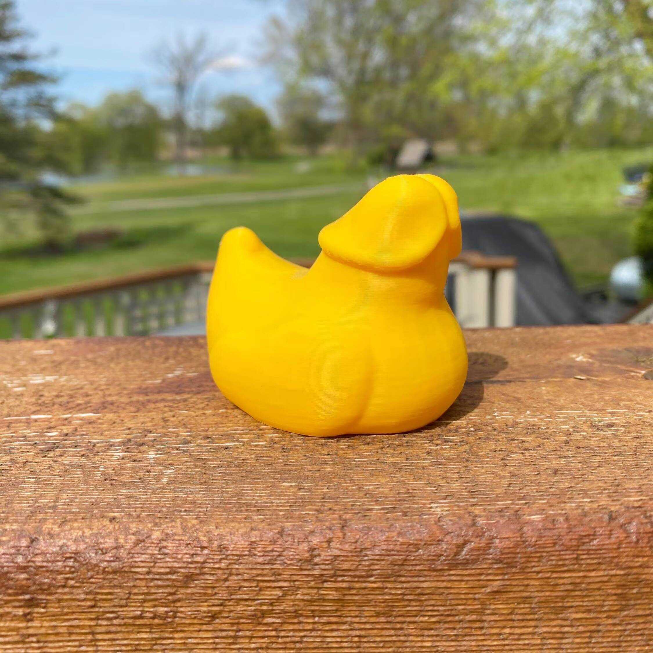 Party Conversation Starter: Dick Duck