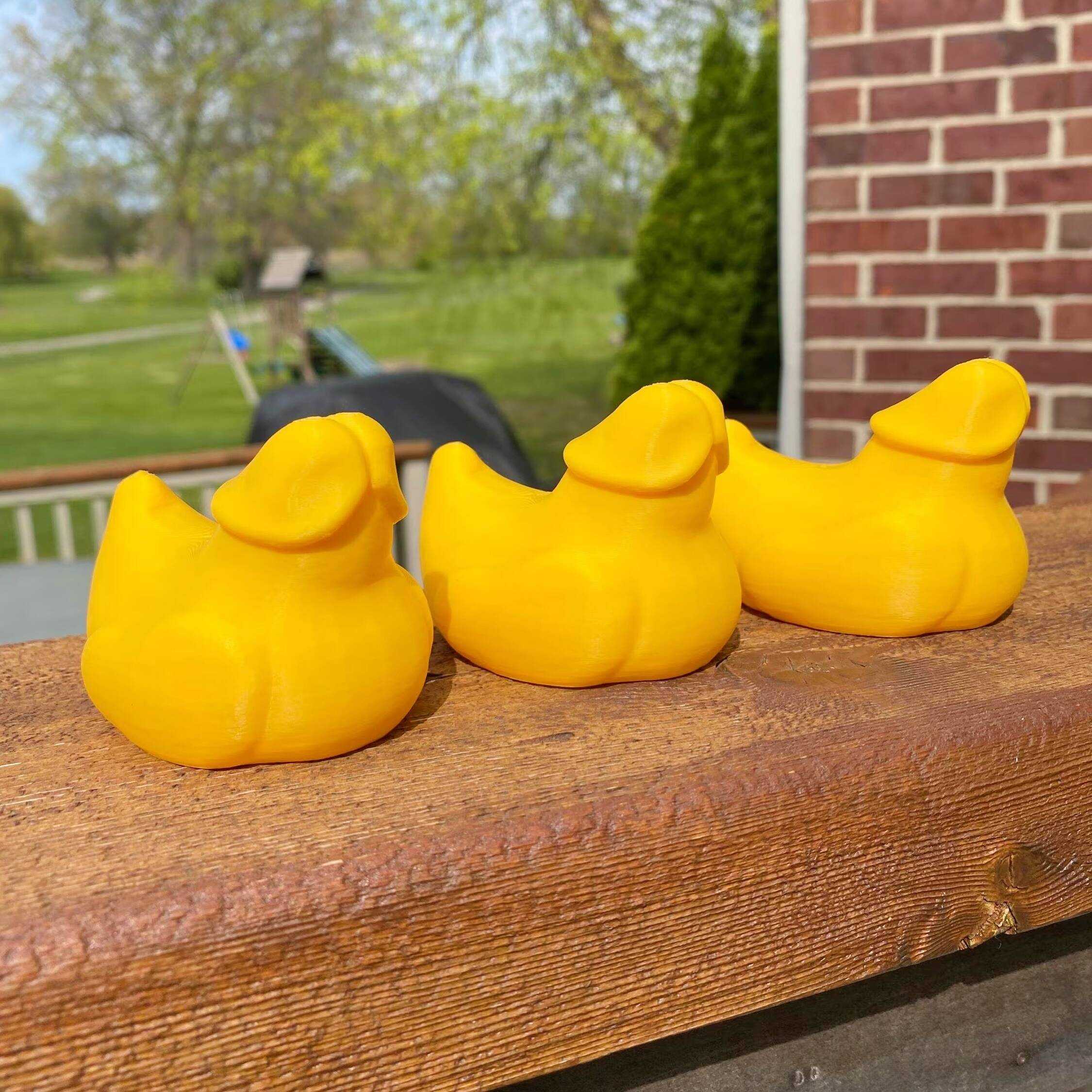 Party Conversation Starter: Dick Duck