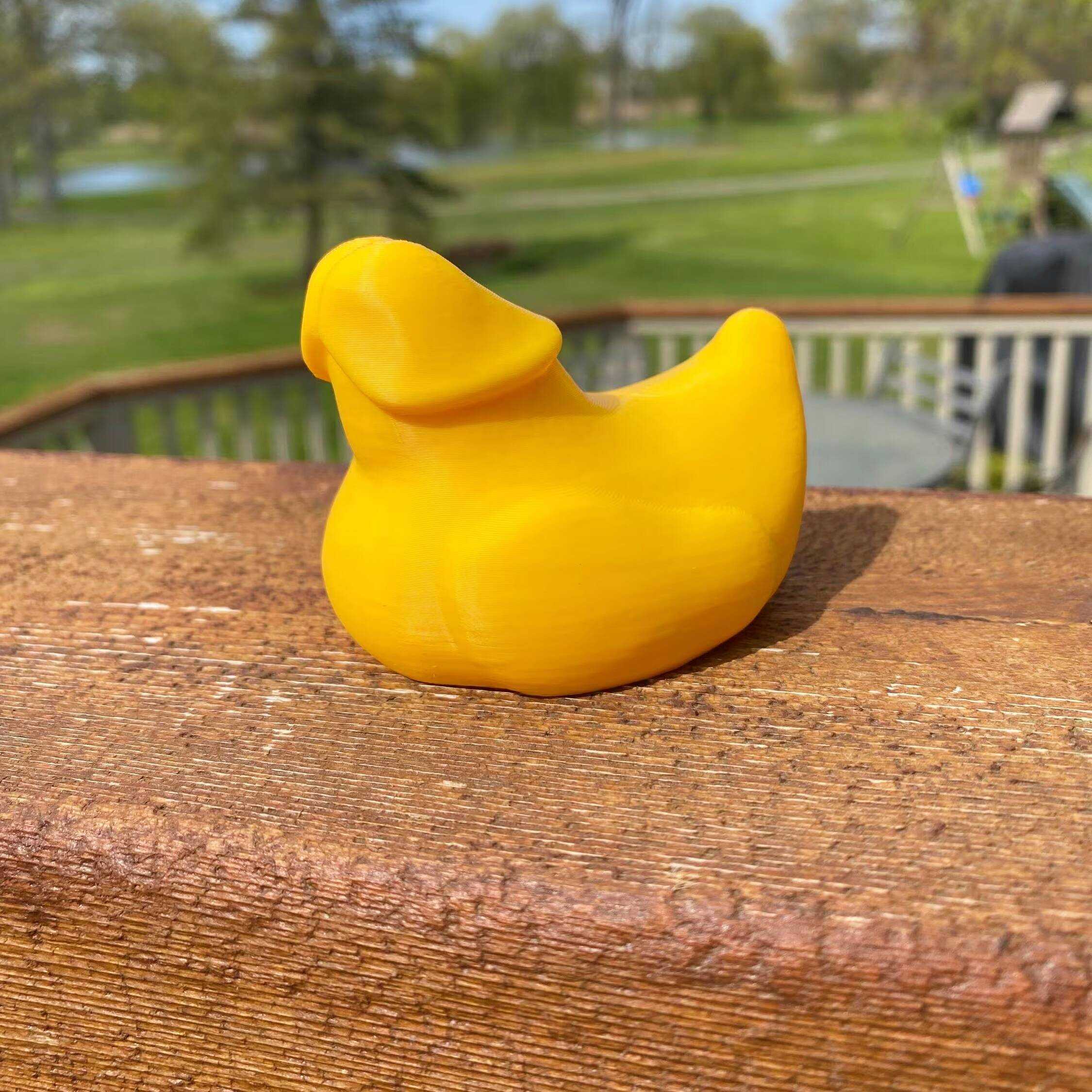 Party Conversation Starter: Dick Duck