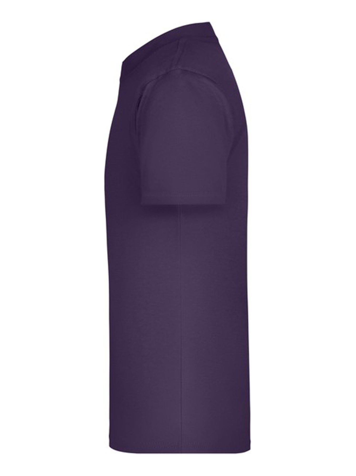James and Nicholson - T-shirt BASIC - Violet aubergine