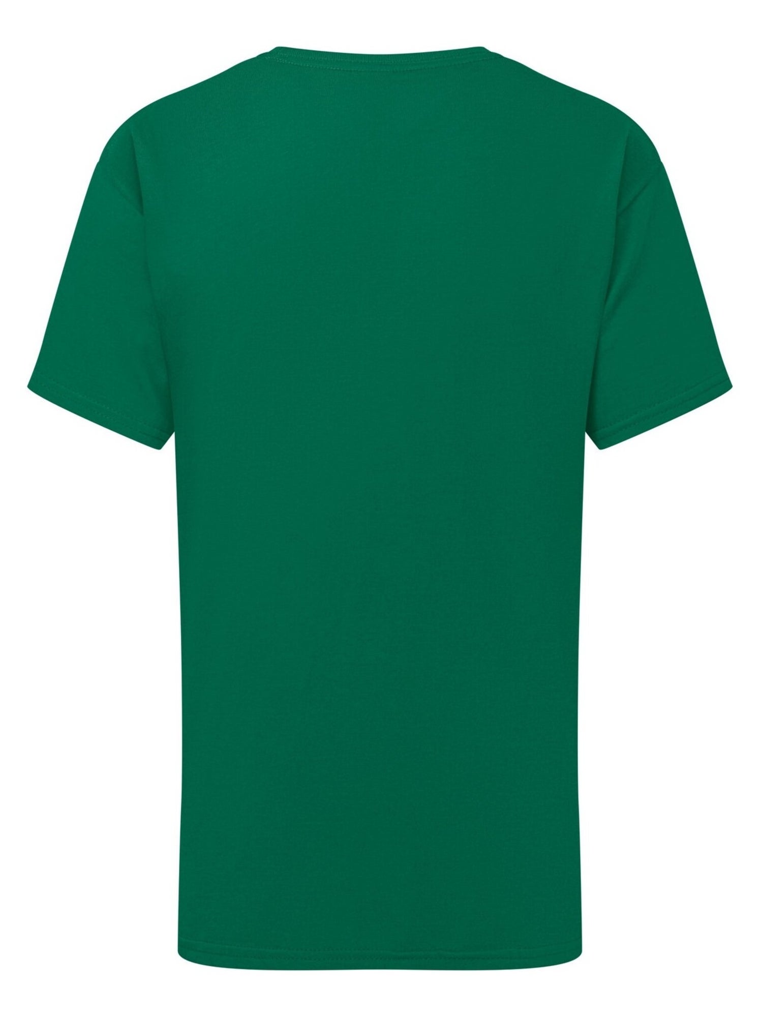 Fruit of the Loom - T-shirt ICONIC - Vert