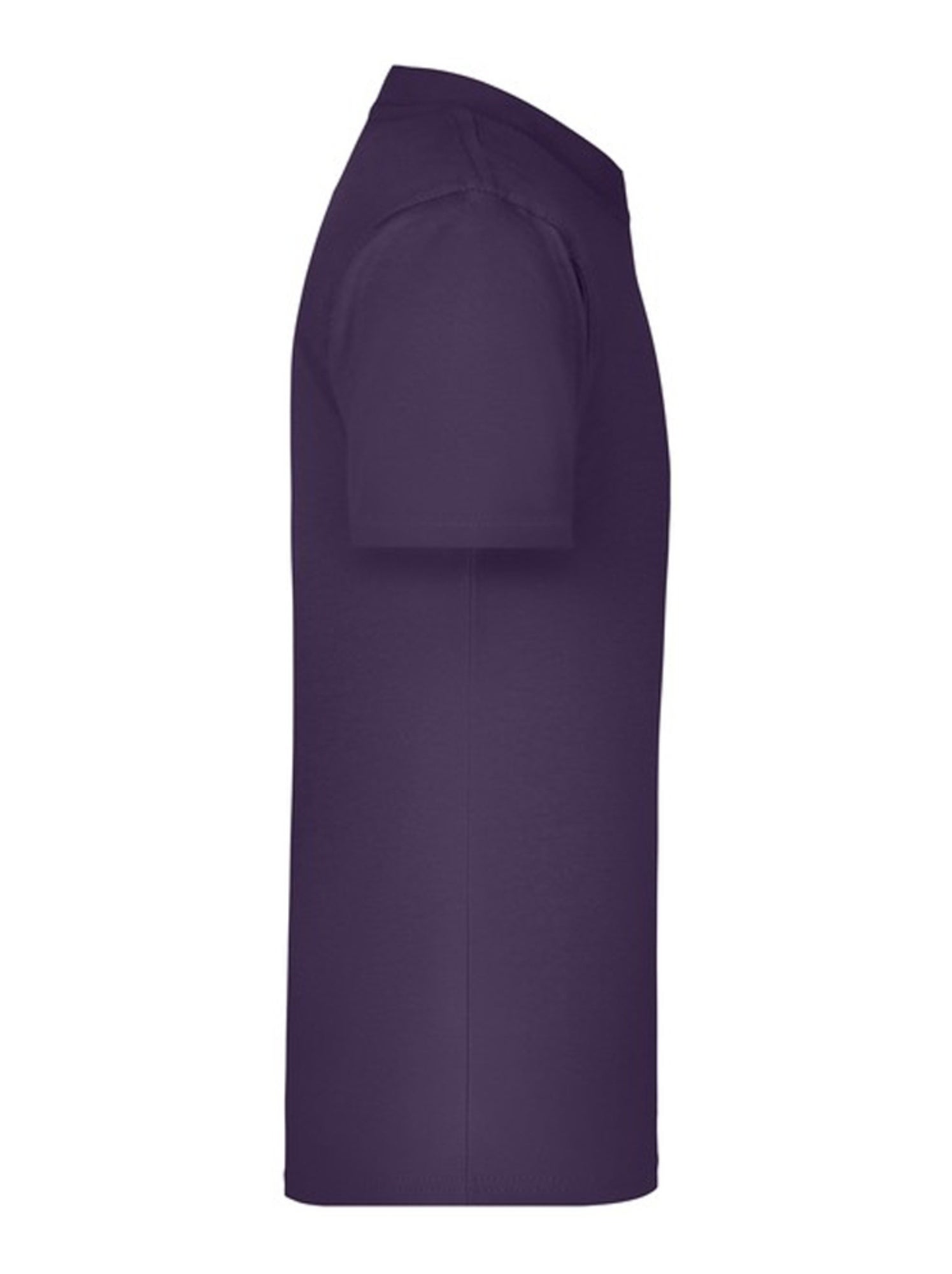 James and Nicholson - T-shirt BASIC - Violet aubergine