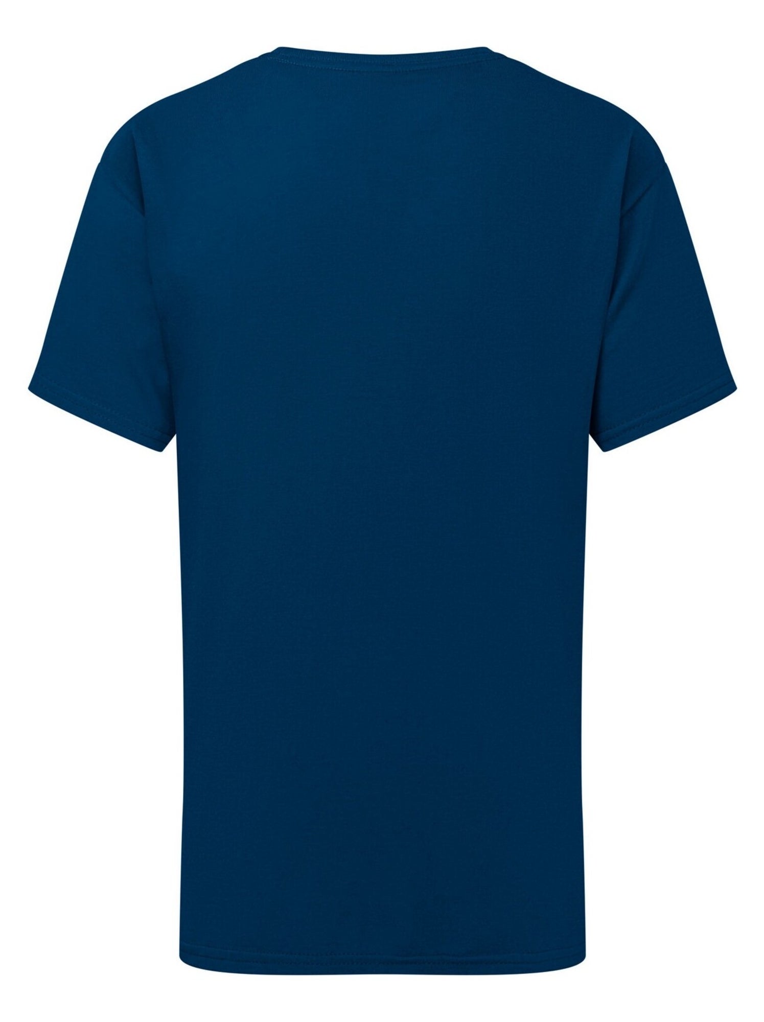 Fruit of the Loom - T-shirt ICONIC - Bleu