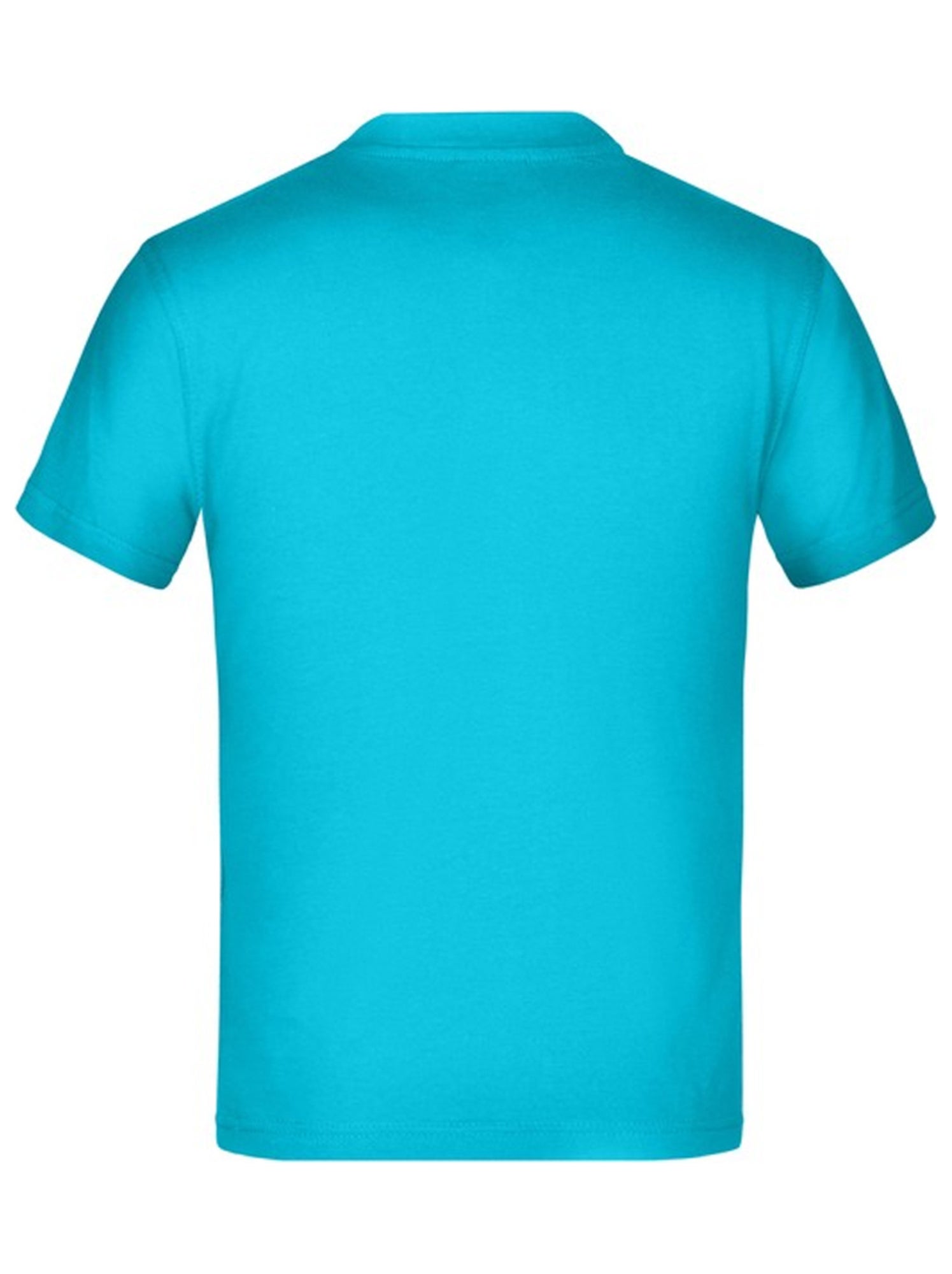 James and Nicholson - T-shirt BASIC - Gris clair