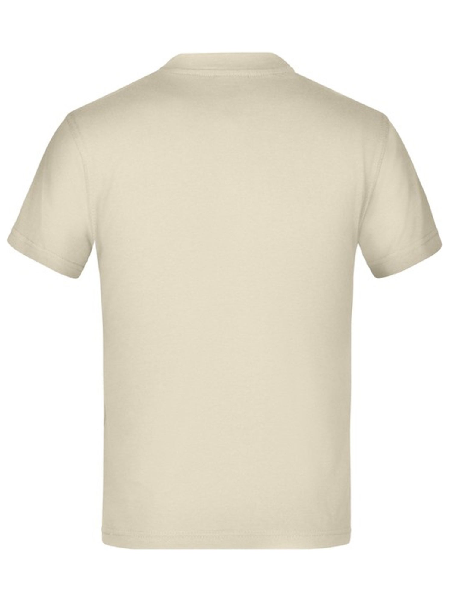 James and Nicholson - T-shirt BASIC - Beige gris