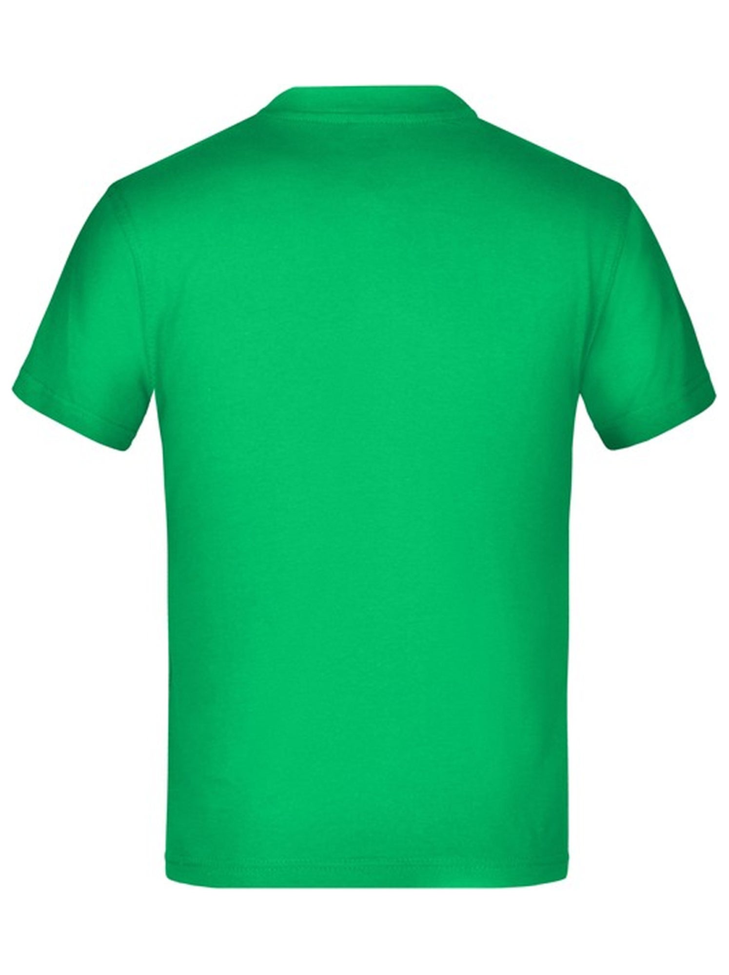 James and Nicholson - T-shirt BASIC - Vert émeraude