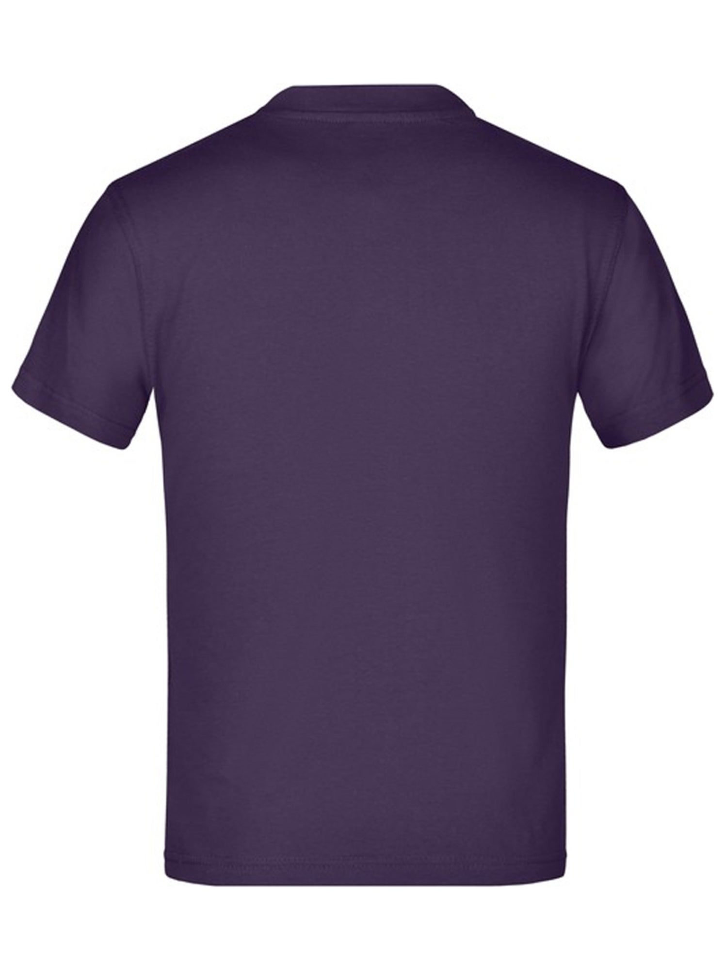 James and Nicholson - T-shirt BASIC - Violet aubergine