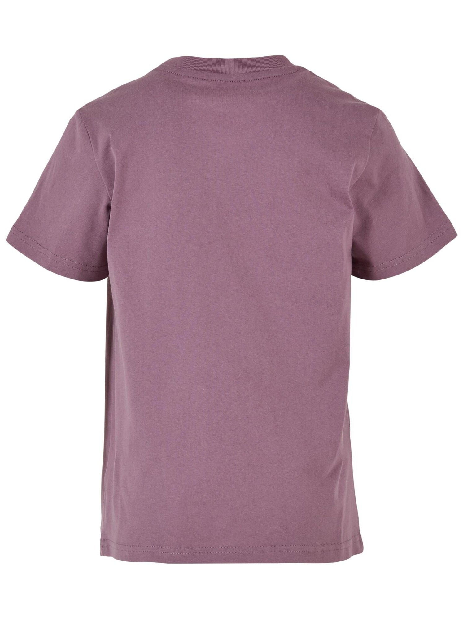 Build Your Brand - T-shirt BASIC 2.0 - Rouge pourpre