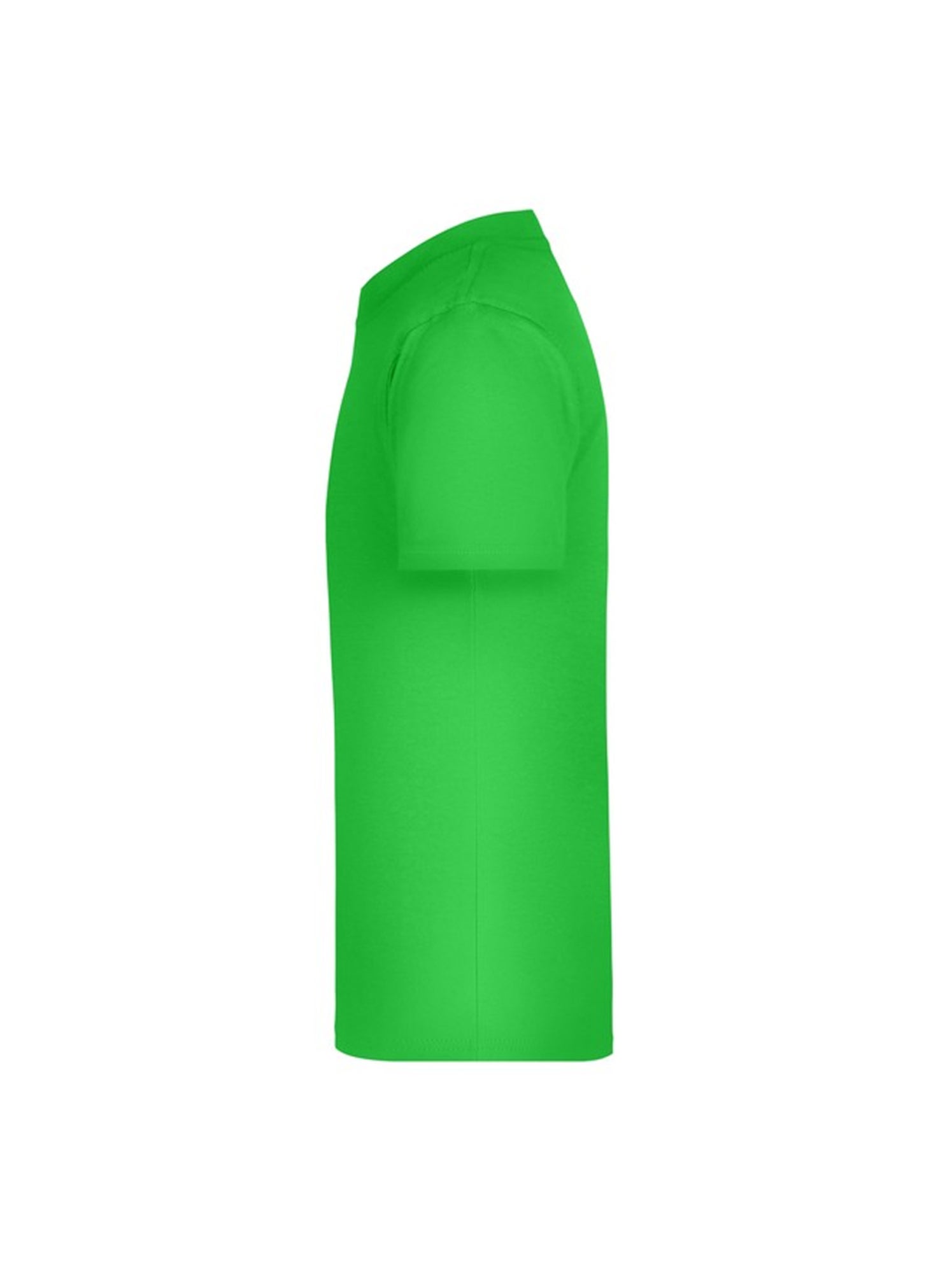 James and Nicholson - T-shirt BASIC - Vert tilleul