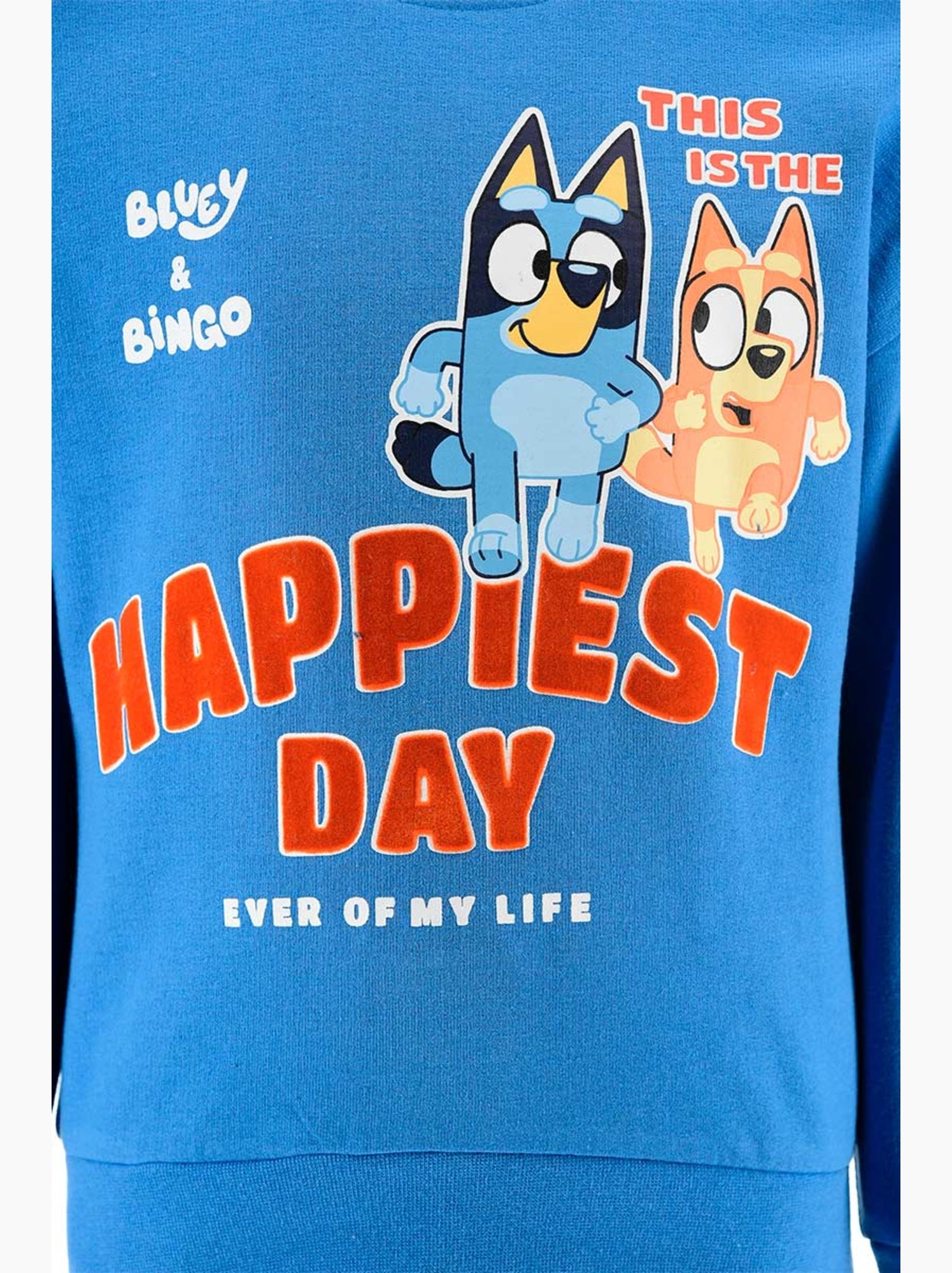 Ensemble jogging   garçon bluey - licence officielle - Bleu