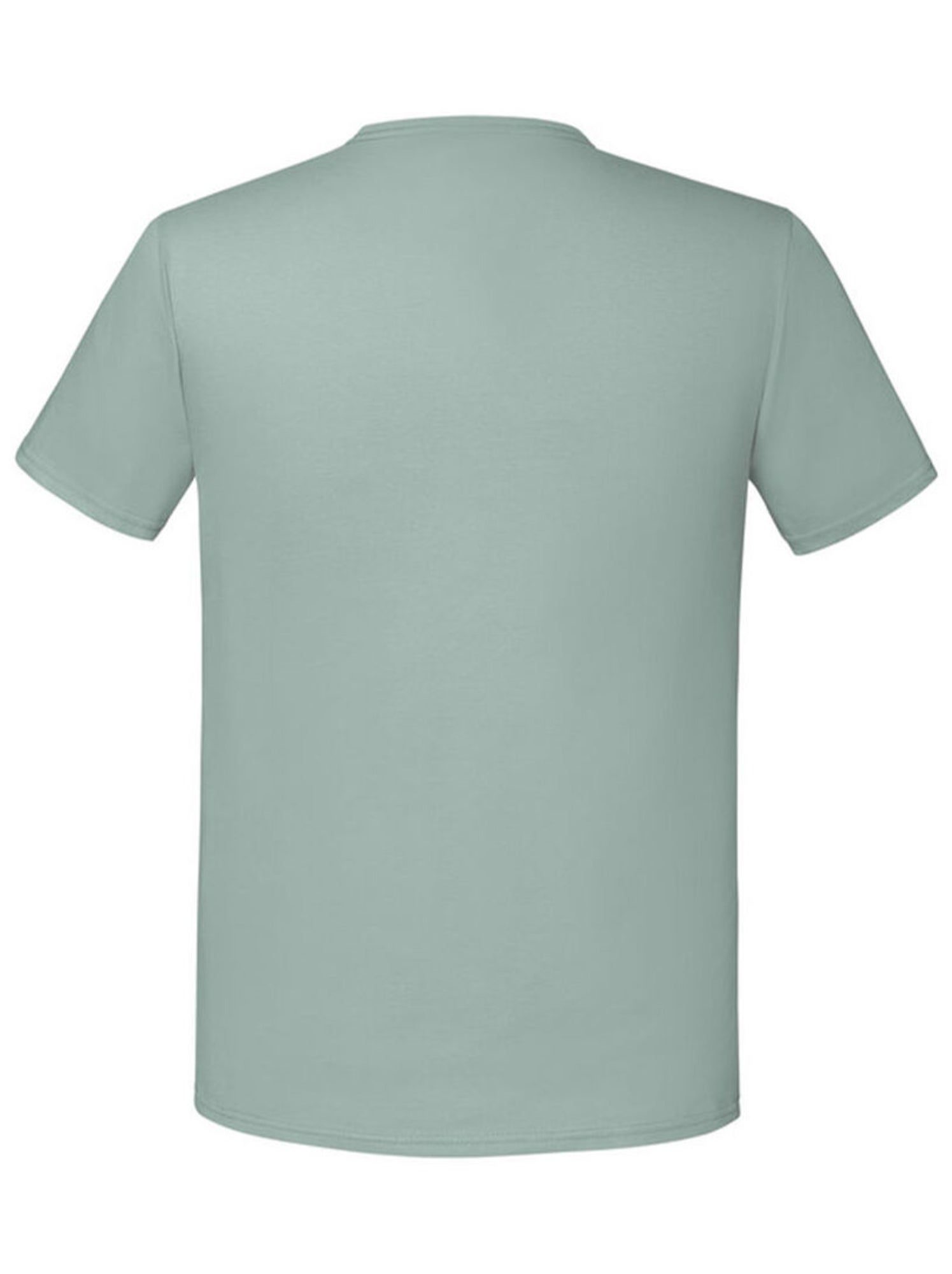 Fruit of the Loom - T-shirt ICONIC - Gris Vert
