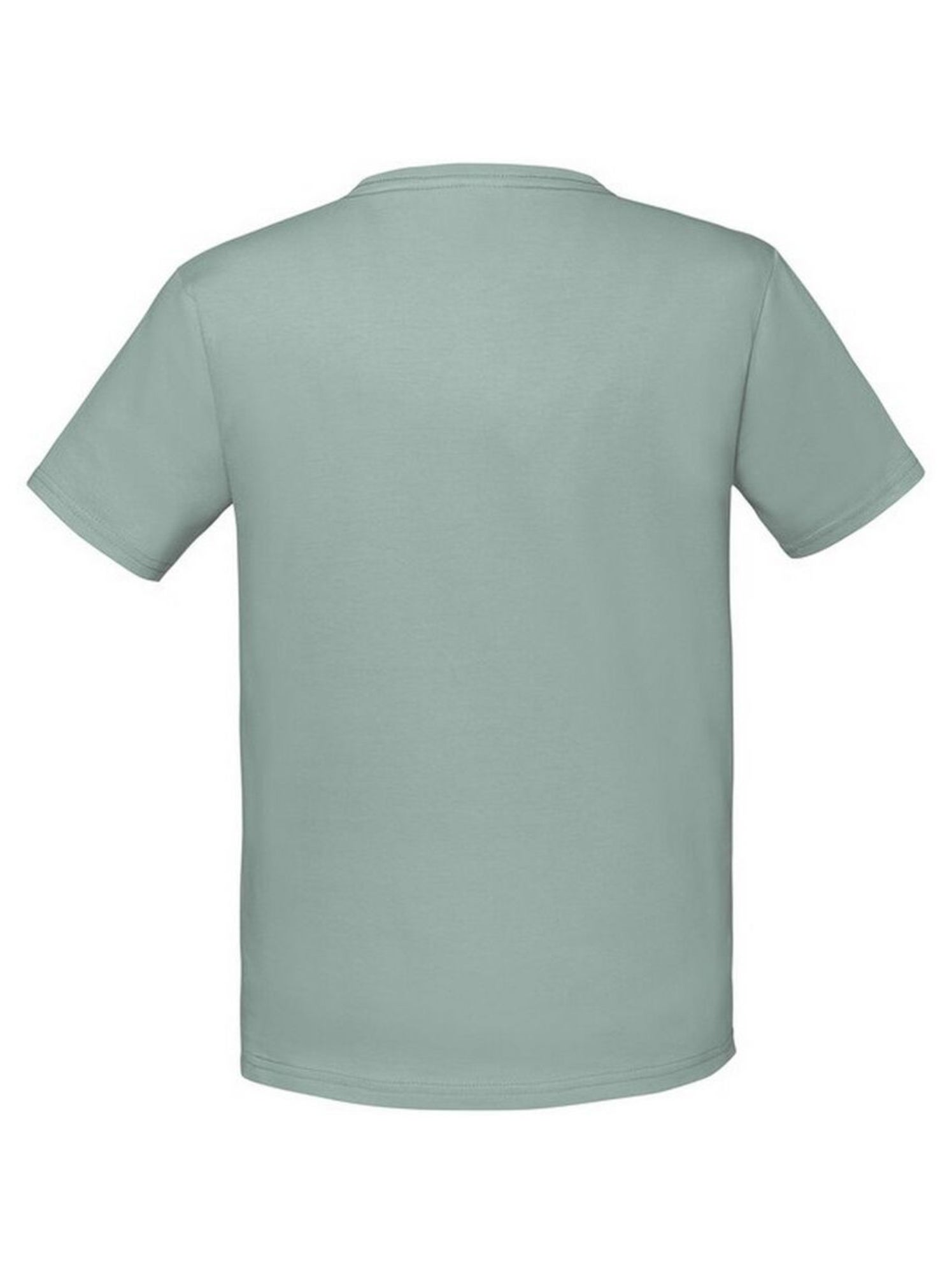Fruit of the Loom - T-shirt ICONIC - Gris Vert