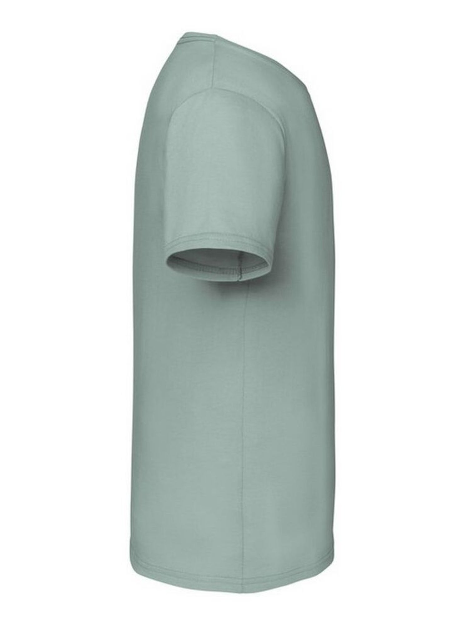 Fruit of the Loom - T-shirt ICONIC - Gris Vert