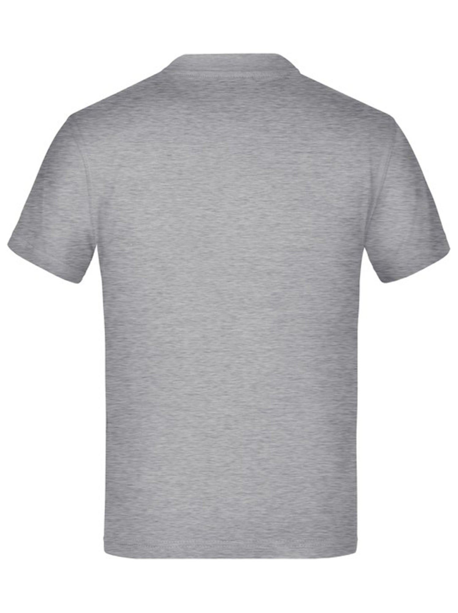 James and Nicholson - T-shirt BASIC - Gris chiné