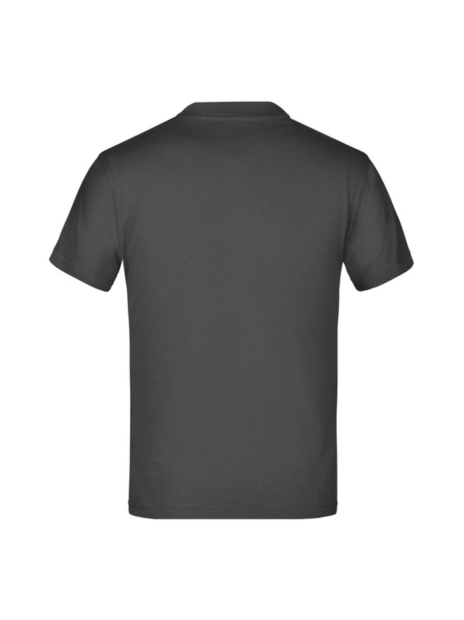 James and Nicholson - T-shirt BASIC - Gris Gris