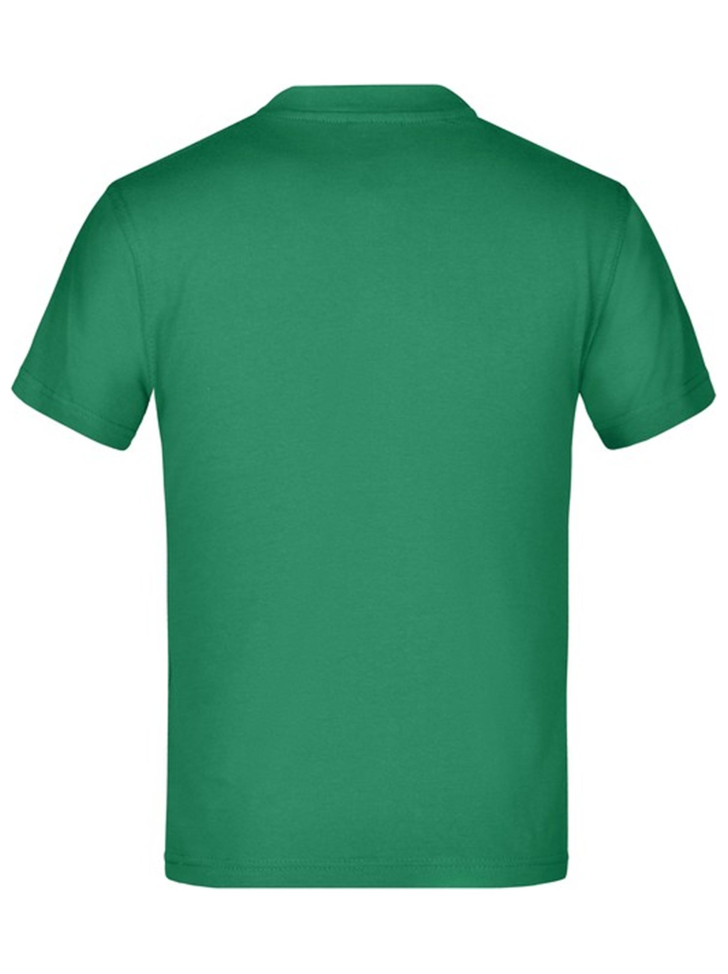 James and Nicholson - T-shirt BASIC - Vert chèvrefeuille