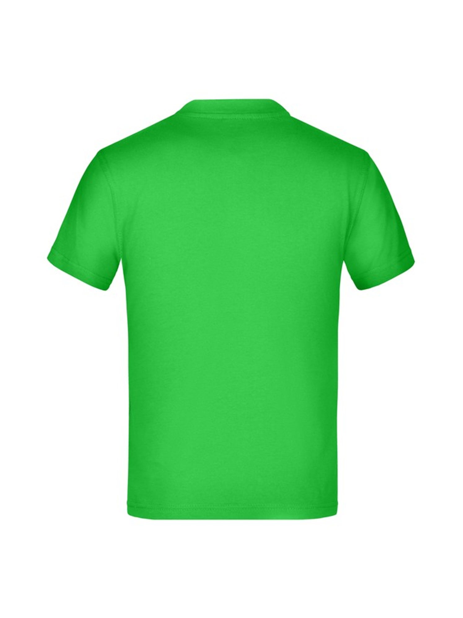 James and Nicholson - T-shirt BASIC - Vert tilleul
